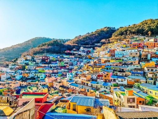 NGÀY 8 | BUSAN, SOUTH KOREA 